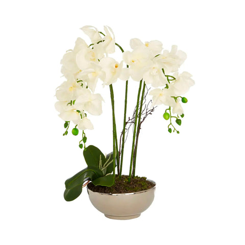 Faux Wild Orchid Plant