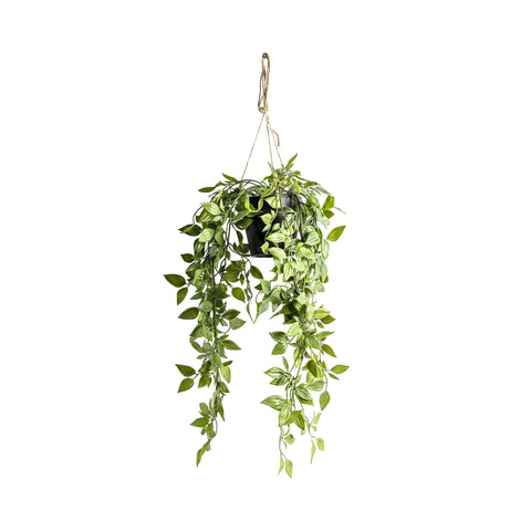 Faux Hanging Senecio