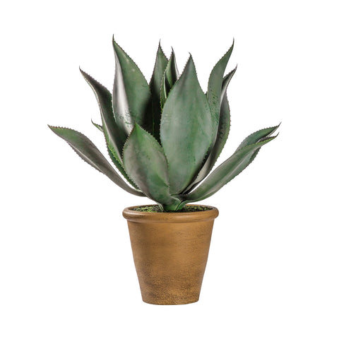 Faux Aloe Wide Leaf